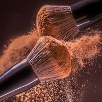 Powder Brush