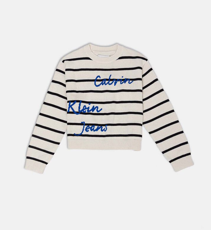 Knit Stripe Pattern Crewneck Sweater