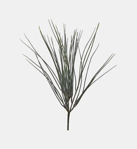 Edg Broom Bush, Green, 46-cm, Packshot View