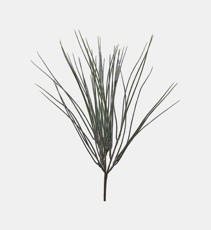 Edg Broom Bush, Green, 46-cm, Packshot View
