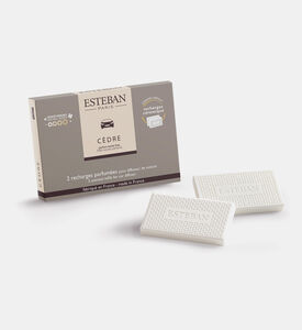 Cedre Scented 2-piece Car Diffusers Set