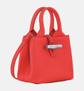 Longchamp Bag Roseau, Orange-red, Packshot View
