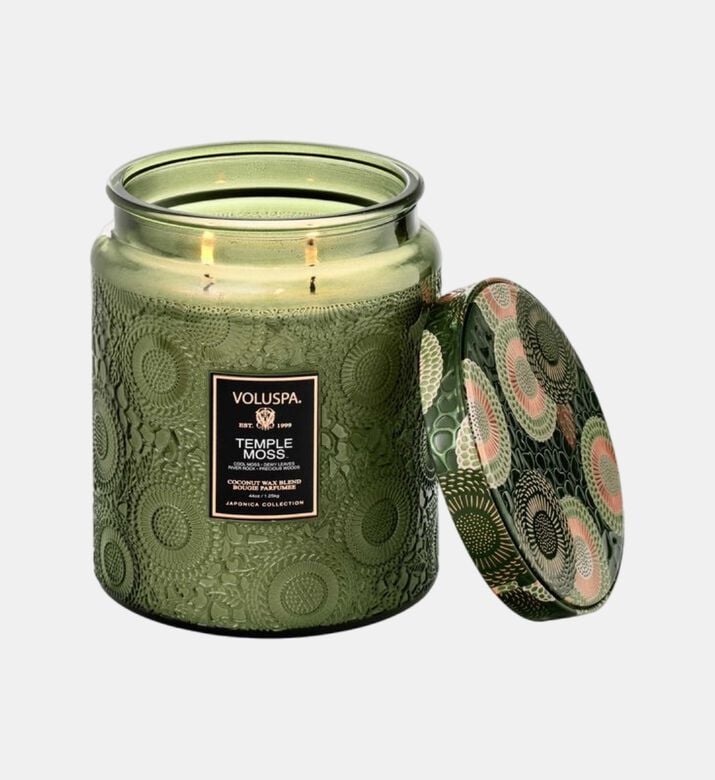 جرة جابونيكا تمبل موس لوكس