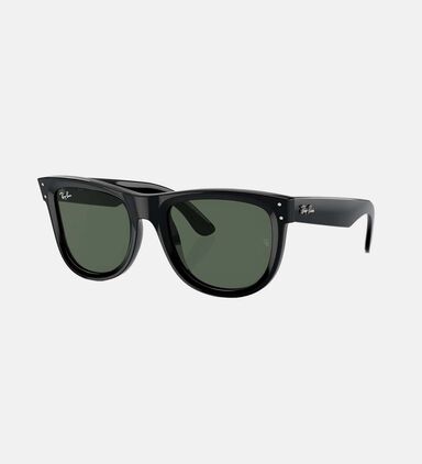 Acetate Glossy Frame Sunglasses 50