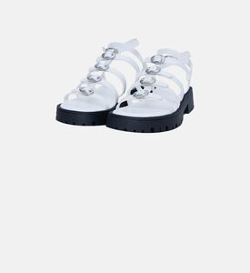 صندل كيكي غلادييتور