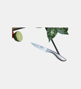 شكل ملامح سكين التقشير