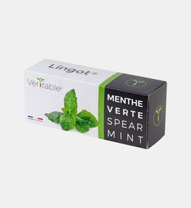 نبتة نعناع رمحية من الأعشاب العطرية الأساسية