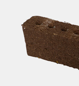 لينغو زهرة فلوكس