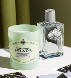 شمعة إنفوزيون دو سيدر معطرة