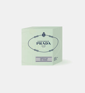 شمعة إنفوزيون دو سيدر معطرة