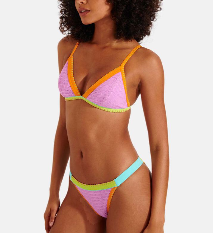 Multicolor Embroidered Bikini Bottoms