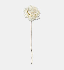 Shishi Dried Sola Peony, Packshot View