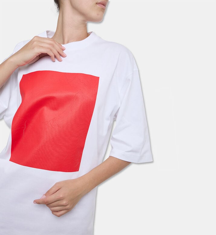 Bouguessa Ts Pablo, Model View