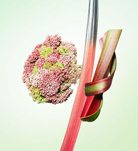 ماء عطر إنفيوجن دو روبارب