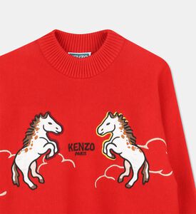 Kenzo Pullover, Packshot View