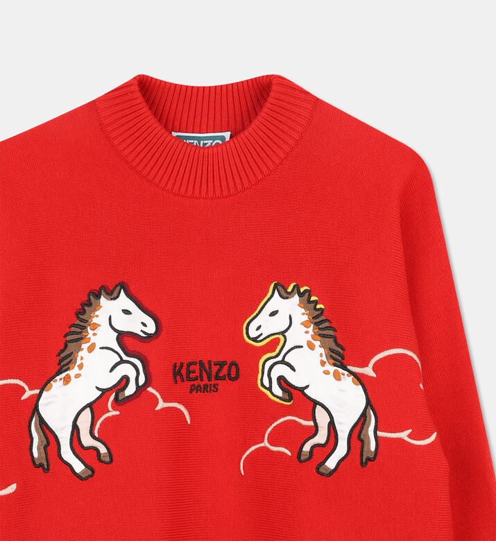 Kenzo Pullover, Packshot View