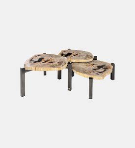 Versmissen Petrified Wood Steel Coffee Table Set, Packshot View