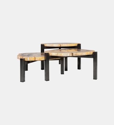 Petrified Wood Steel Coffee Table Set