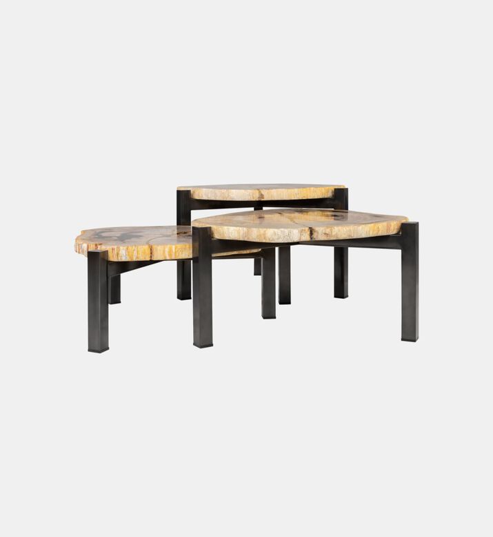 Petrified Wood Steel Coffee Table Set