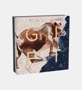 صندوق جامع Ursa الرئيسي