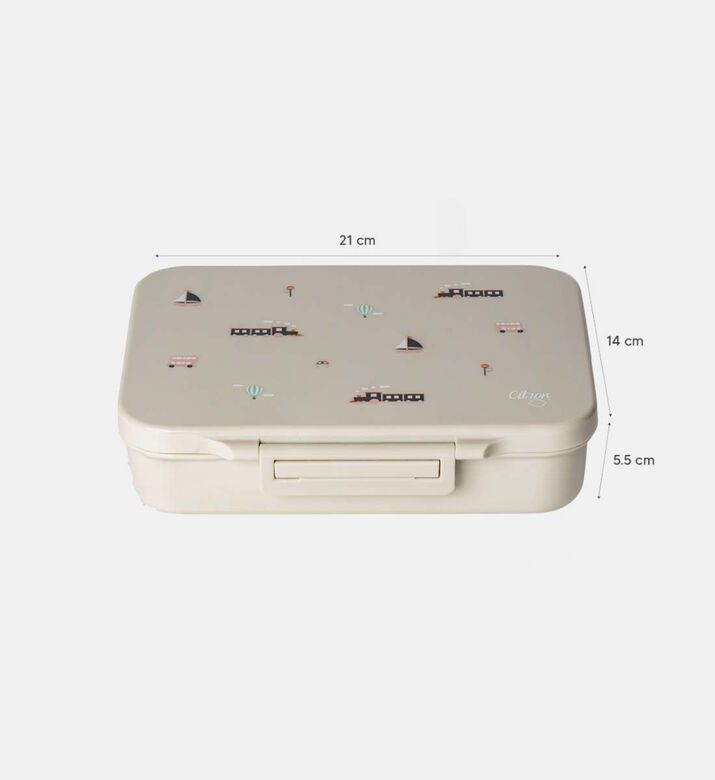 Vehicles Tritan Lunchbox