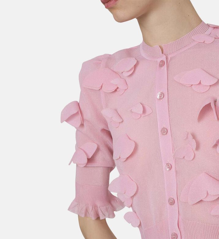 Butterfly Applique Top