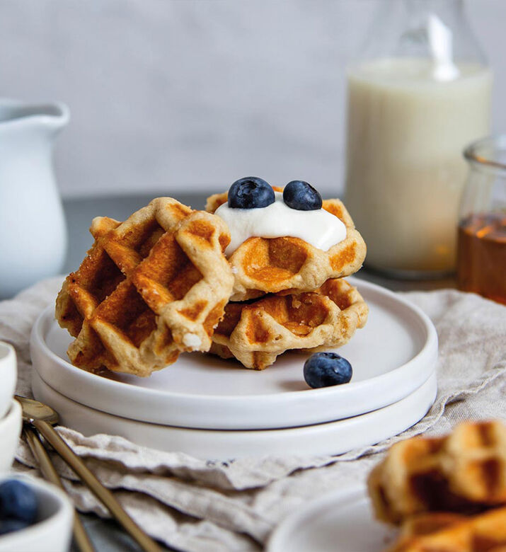 Advanced Control Waffle Iron