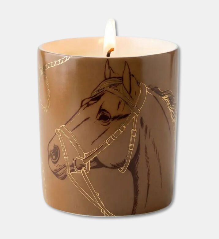 Silsal Candle Oud Wood Havane, Packshot View