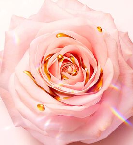 عطر أيدول نكتار