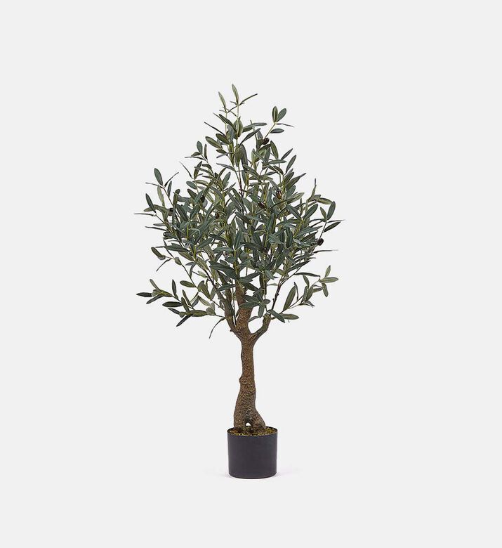 Edg Artificial Olive Tree-in-pot, Packshot View