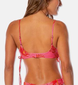 Maaji Swst Portico, Model View