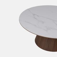 Snow Walnut Ceramic Walnut Coffee Table