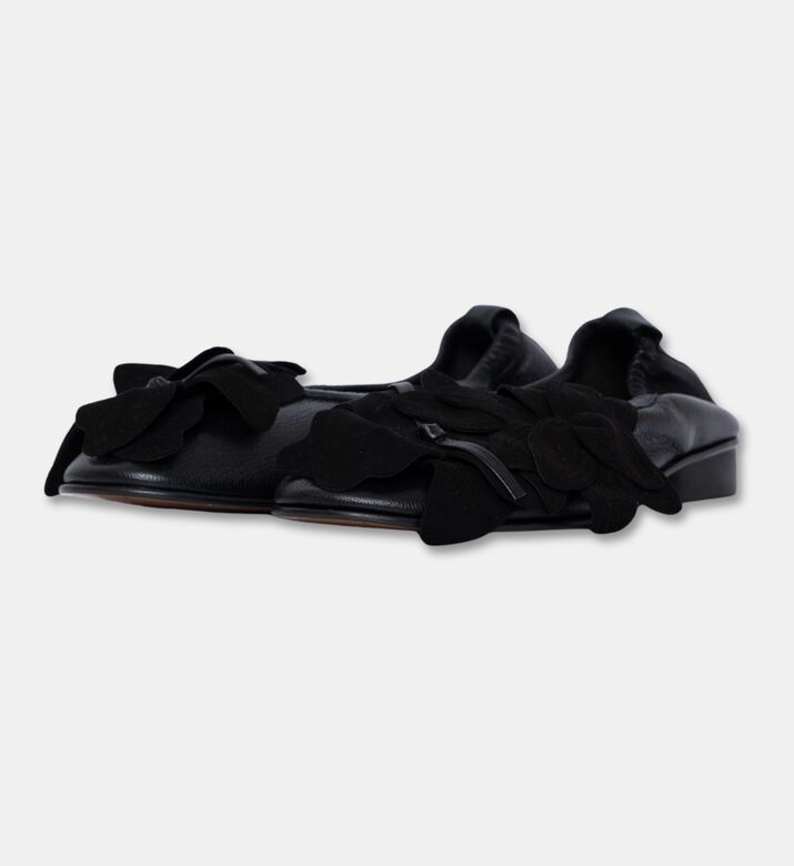 Hereu Shoes Flat Heel, Packshot View