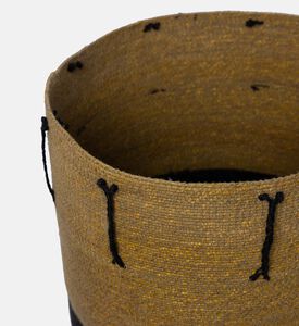 سلة الأعشاب البحرية بانانس