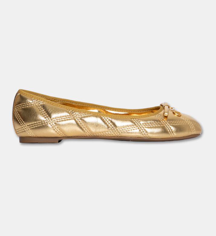 Arezzo Shoes Flat, Packshot View