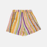 Colorful Zigzag Shorts