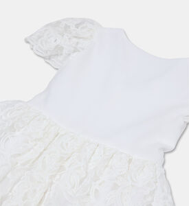 Speranza Dress, Packshot View