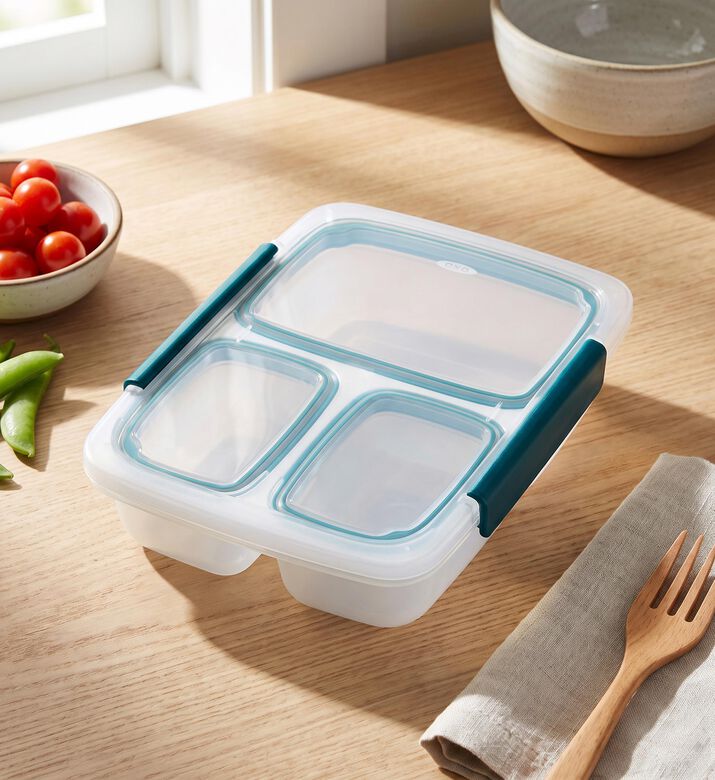 Oxo Plastic Divided Container, Model View