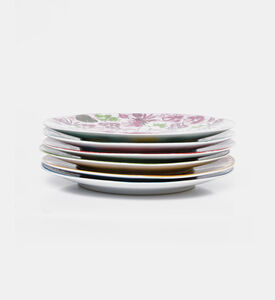 Leaves 6-piece Dinner Plates Set