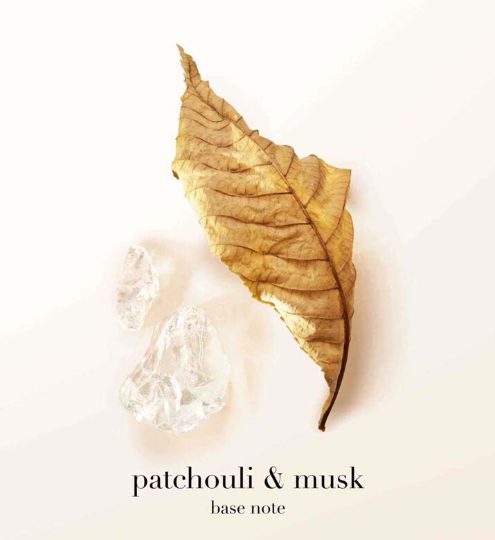 عبوة إعادة تعبئة ماء عطر سي