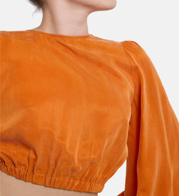 Niluu V-neck Cropped Wrap Top, Model View