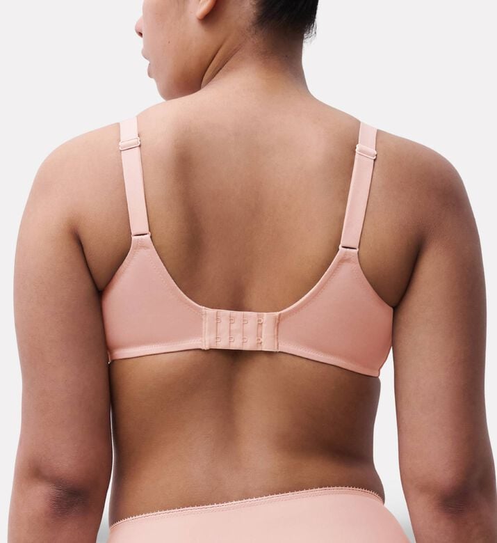 Chantelle Floral Lace Embroidered Bra, Model View