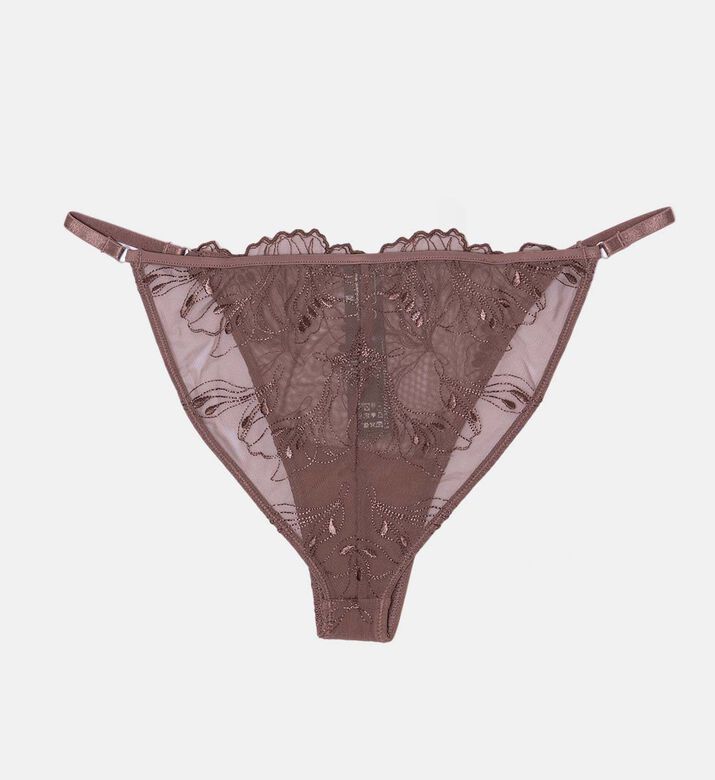 Saaudrey Embroidered Semi-sheer Brief