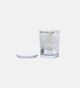 Africa Zebra Candle Jar Africa Zebra Candle Jar