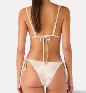 Palmacea Swst Lily Bottom, Model View