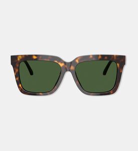 Versace Square-shaped Acetate Havanna Sunglasses, Packshot View