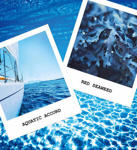 سائل استحمام ريبليكا سايلينج داي 200 مل