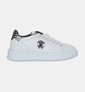 Roberto Cavalli Shoes Sport Calf Pasha, Packshot View