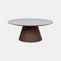 Snow Walnut Ceramic Walnut Coffee Table