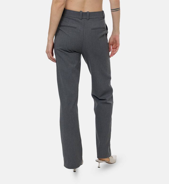 Samsoe Pant Salot, Model View